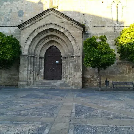 شقة Luminoso Y Acogedor Atico En Plaza La Yerba, Jerez جيريز