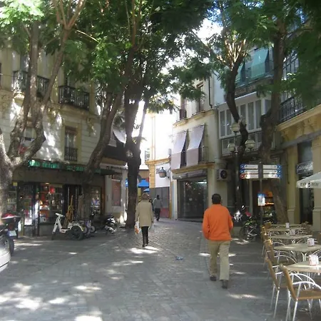 شقة Luminoso Y Acogedor Atico En Plaza La Yerba, Jerez *
